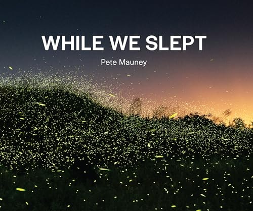 While We Slept by Pete Mauney