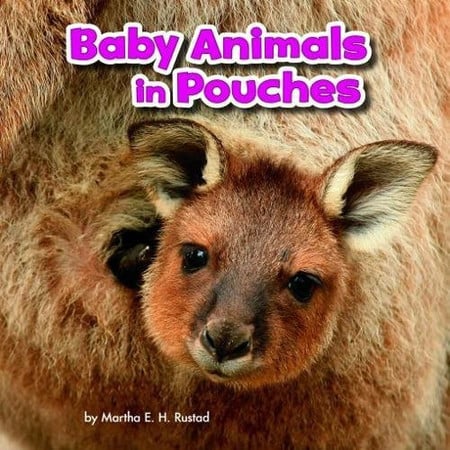 Baby animals in pouches by Rustad, Martha E. H.