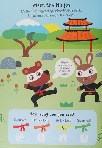 Machen und Tun: Ninjas von Quarto Books