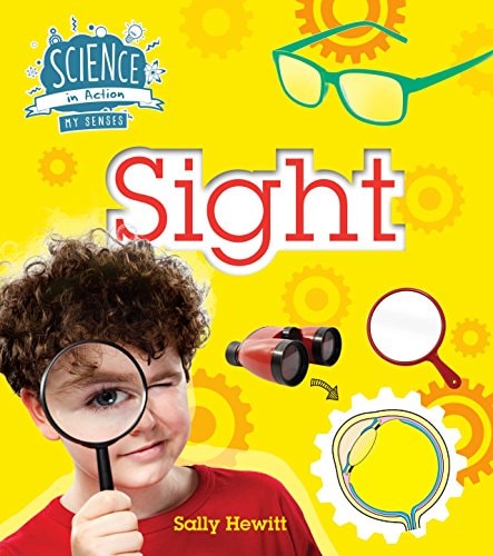 Science In Action: My Senses - Sight by Sally Hewitt