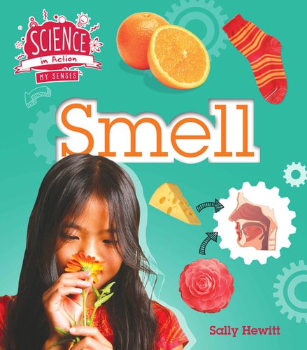 Science In Action: My Senses - Smell by Sally Hewitt