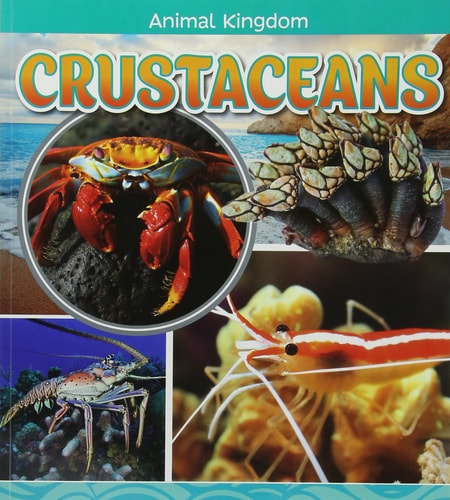 Crustaceans by Emma Bernay
