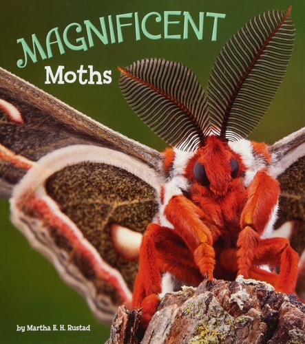 Magnificent Moths (abgenutzt) von Martha EH Rustad