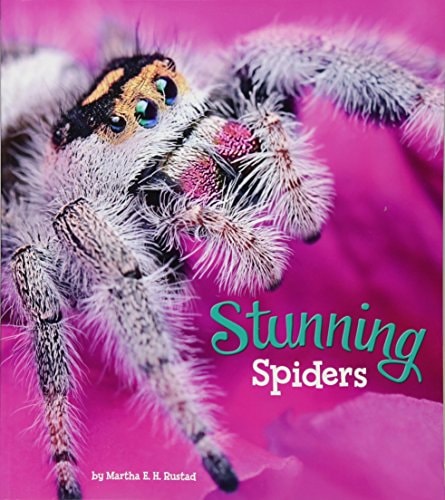 Stunning Spiders by Martha E. H. Rustad