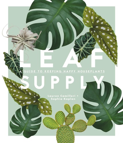 (TXS) Leaf Supply: A Guide to Keeping Happy House Plants by Lauren Camilleri | Sophia Kaplan