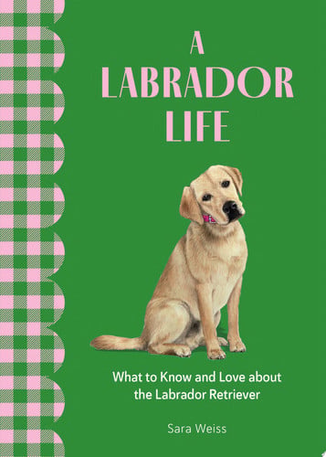 A Labrador Life: What to Know and Love About the Labrador Retriever (Favorite Dog) by Weiss, Sara