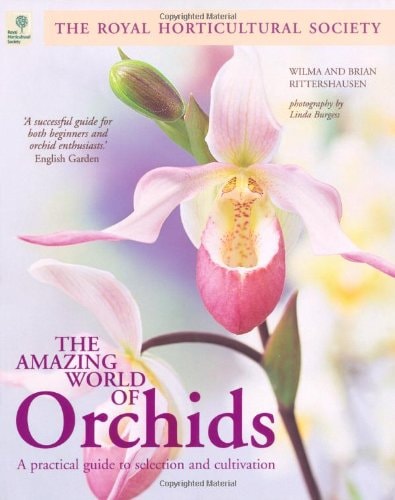 Amazing World Of Orchids by Wilma & Brian Rittershausen