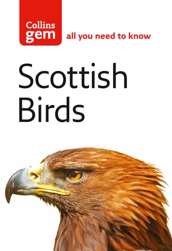 Collins Gem Scottish Birds: Der schnelle und einfache Beobachterleitfaden von Thom, Valerie