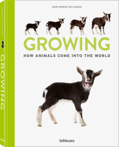 Growing How Animals Come Into Our World by Marlonneke Willemsen
