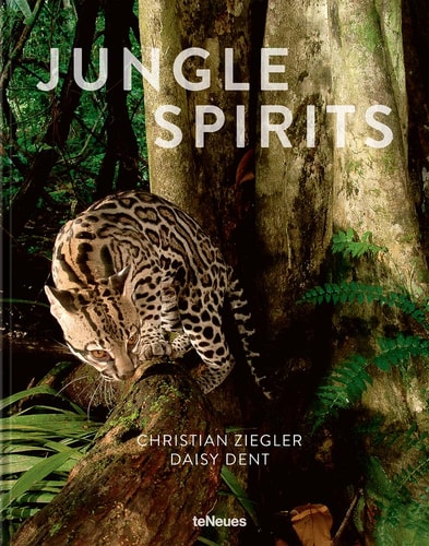 Jungle Spirits by Christian Ziegler | Daisy Dent