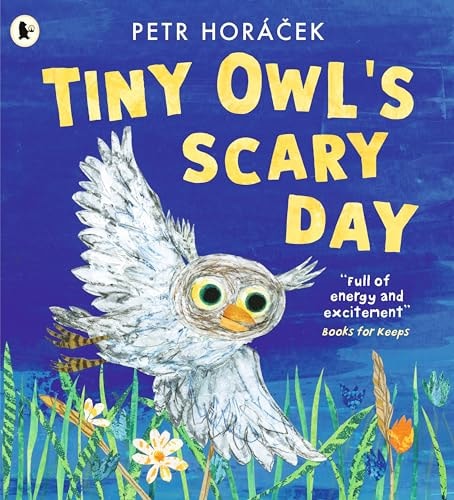 Tiny Owl's Scary Day by Petr Horacek