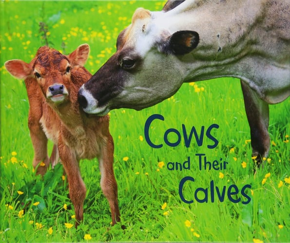 Cows and their calves by Hall, Margaret