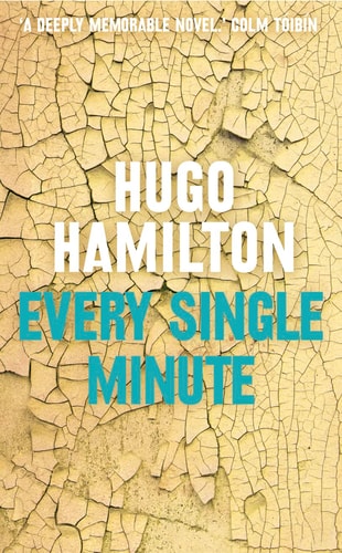 Every Single Minute by Hugo Hamilton