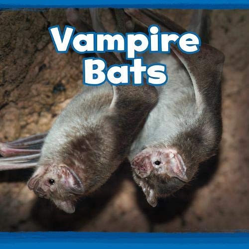 Vampire Bats by Kathryn Clay