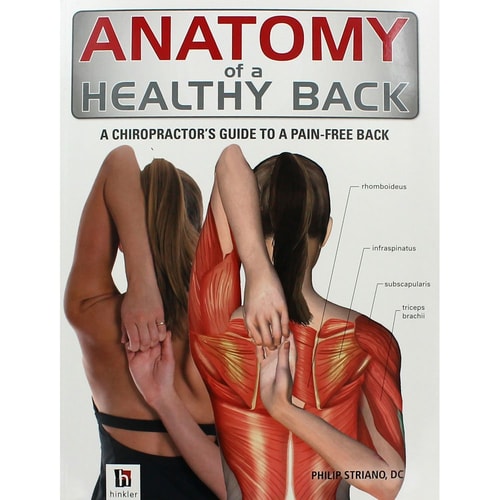 Anatomy of Healthy Back by Philip Striano