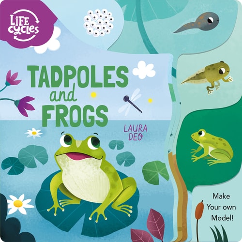 Tadpoles and Frogs: Make Your Own Model! (Life Cycles) by Annabel Savery