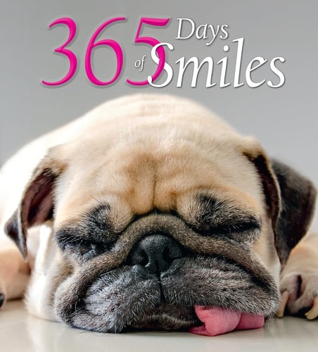 365 Days of Smiles by APA