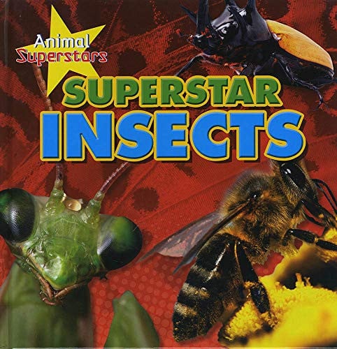 Superstar Insects by Louise Spilsbury