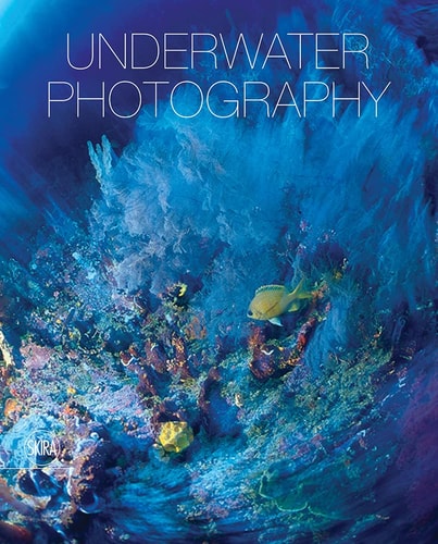 (TXS) Photographs Of Submerged Worlds by Vincenzo Paolillo