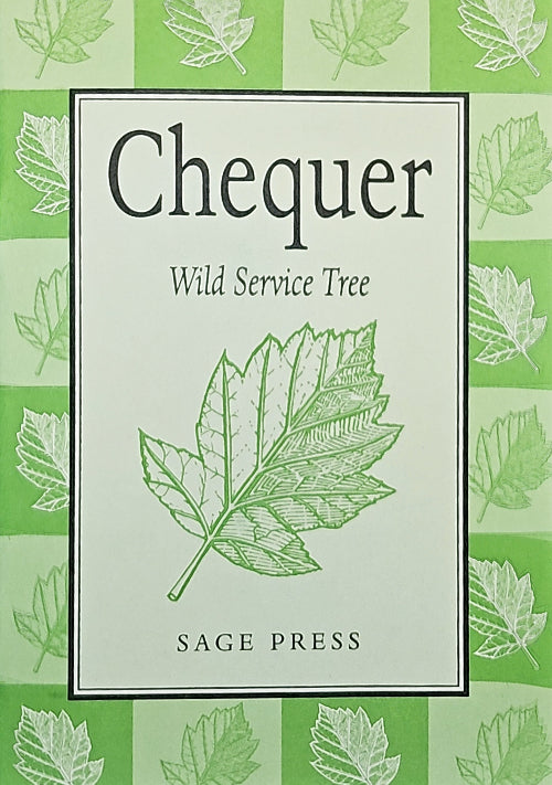 Sage - Chequer by -