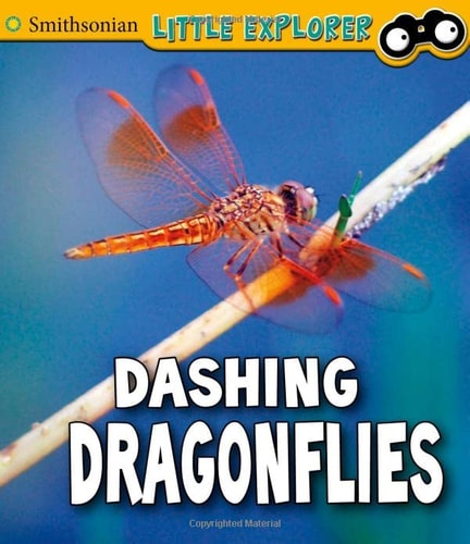 Dashing Dragonflies by Megan Cooley Peterson