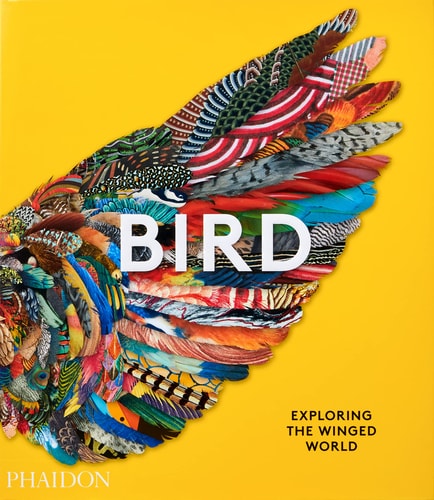 Bird: Exploring the Winged World by Phaidon Editors