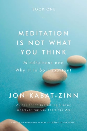 (TXS) Meditation Is Not What You Think by  Jon Kabat-Zinn