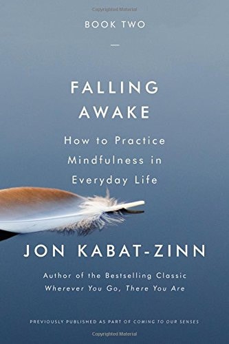 (TXS) Falling Awake by  Jon Kabat-Zinn