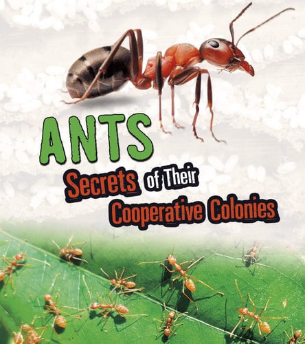 Ants: Secrets of Their Cooperative Colonies (Fact Finders: Amazing Animal Colonies) by Karen Latchana Kenney