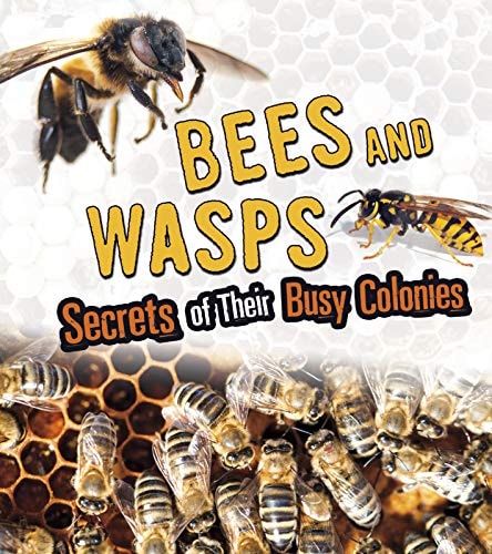 Bees and Wasps: Secrets of Their Busy Colonies (Fact Finders: Amazing Animal Colonies) by Sara L. Latta