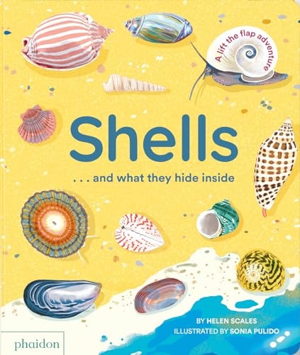 Shells... and what they hide inside: A Lift-the-Flap Adventure by Helen Scales
