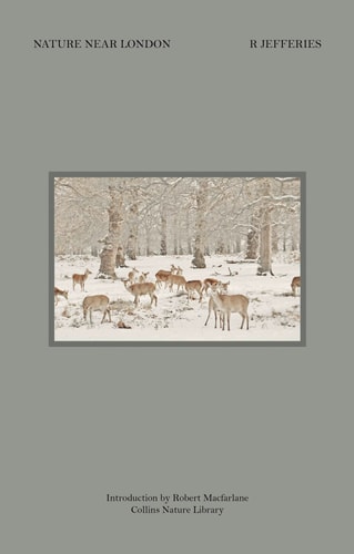 Nature Near London by R.Jefferies