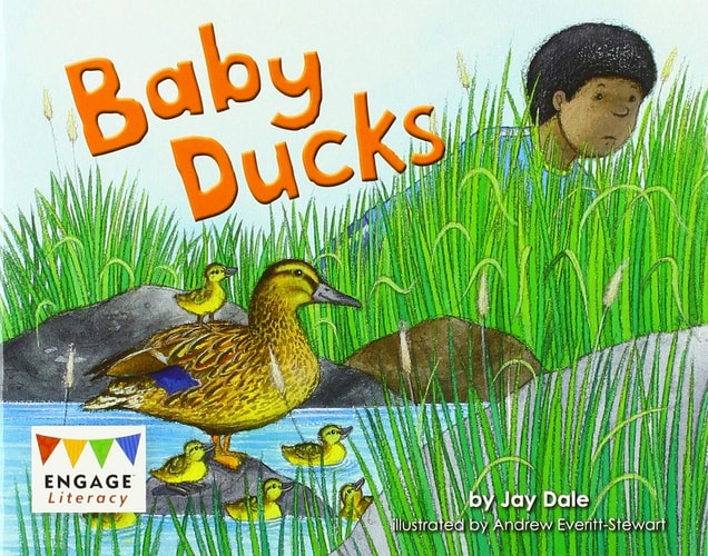 Baby Ducks by Jay Dale