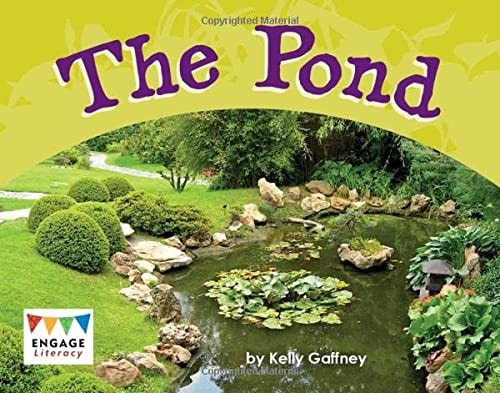 The Pond by Kelly Gaffney