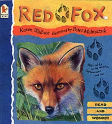 Red Fox by Karen Wallace