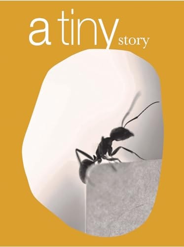 Fernando Maquieira: A Tiny Story (Shelfworn) by Fernando Maquieria