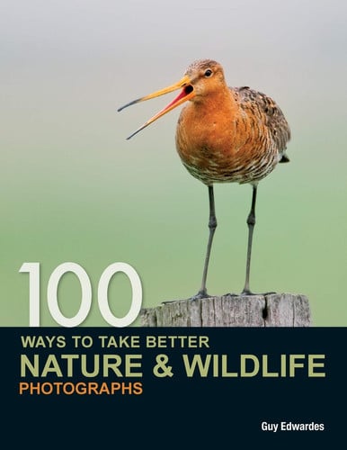 100 Ways to Take Better Nature & Wildlife Photographs by Guy Edwardes