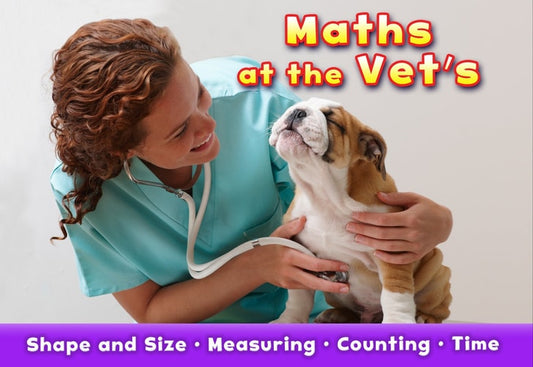 Maths at the Vet's (Acorn: Maths at Work) by Tracey Steffora