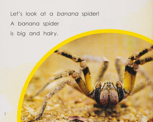 The Banana Spider (Engage Literacy Blue) by Anne Giulieri