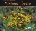 Minibeast Babies by Charlotte Guillain
