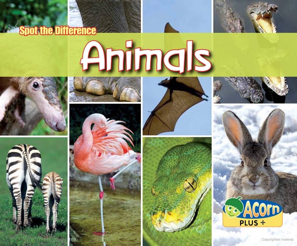 SPOT THE DIFFERENCE ANIMALS (Acorn Plus: Natural Science) by Rebecca Rissman