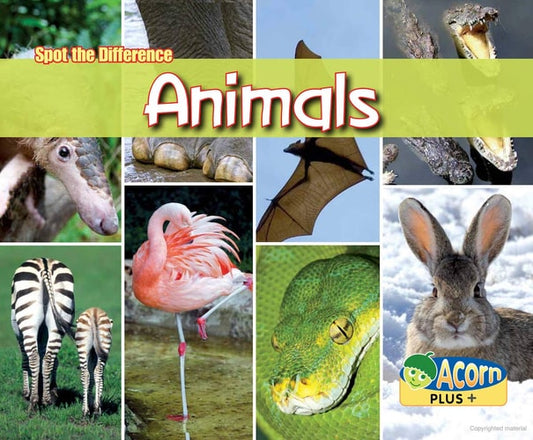 SPOT THE DIFFERENCE ANIMALS (Acorn Plus: Natural Science) by Rebecca Rissman