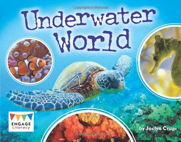 Underwater World by Jaclyn Crupi
