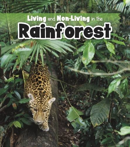 Living and Non-Living in the Rainforest by Rebecca Rissman