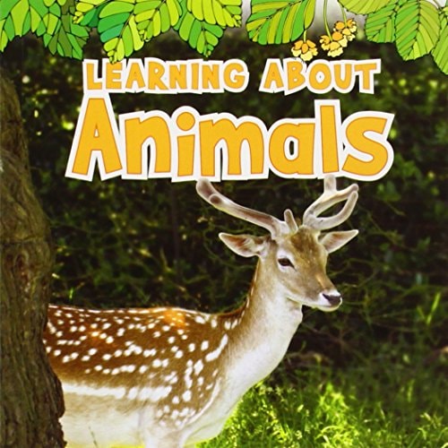 Learning about Animals (Natural World) by Catherine Veitch