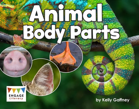 Animal Body Parts by Kelly Gaffney