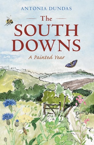 The South Downs A Painted Year (shelfworn) by Antonia Dundas