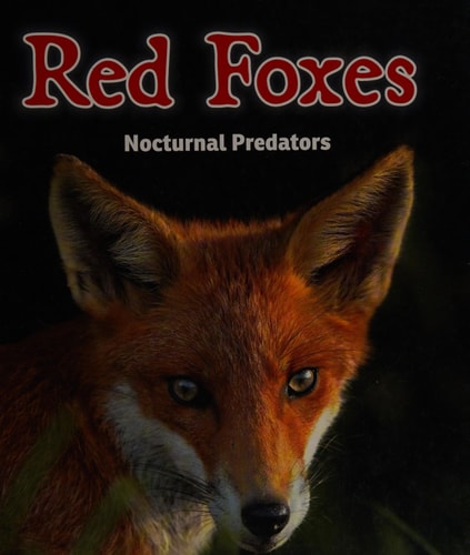 Red Foxes Nocturnal Predators by Rebecca Rissman