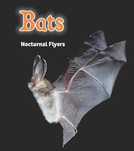 Bats Nocturnal Flyers by Rebecca Rissman