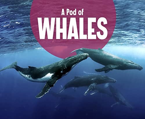 A pod of whales by Raatma, Lucia